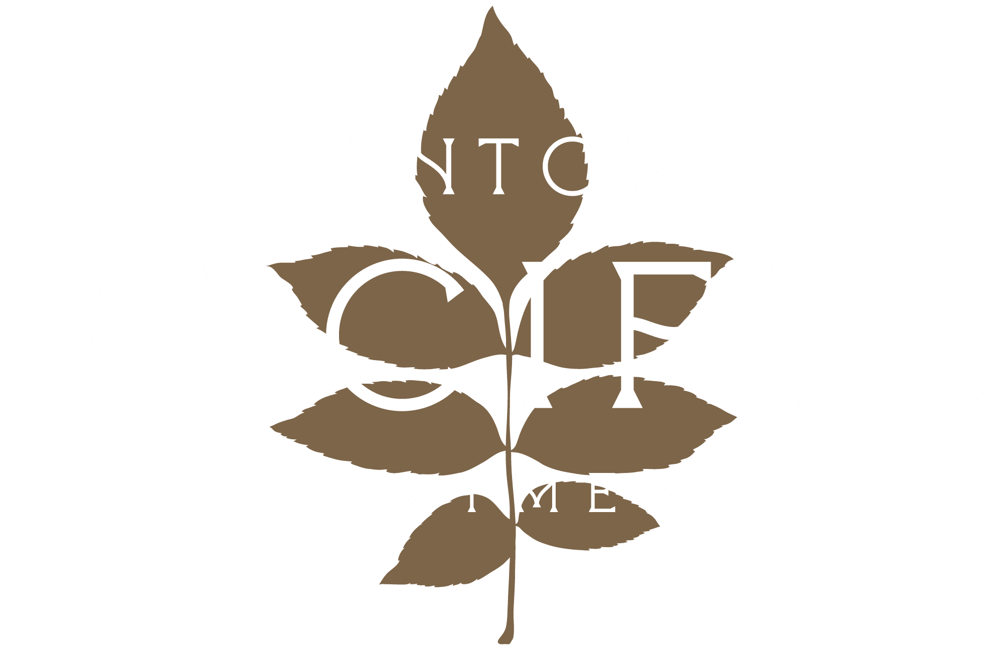 Anton Pacific Apartments in Santa Cruz CA